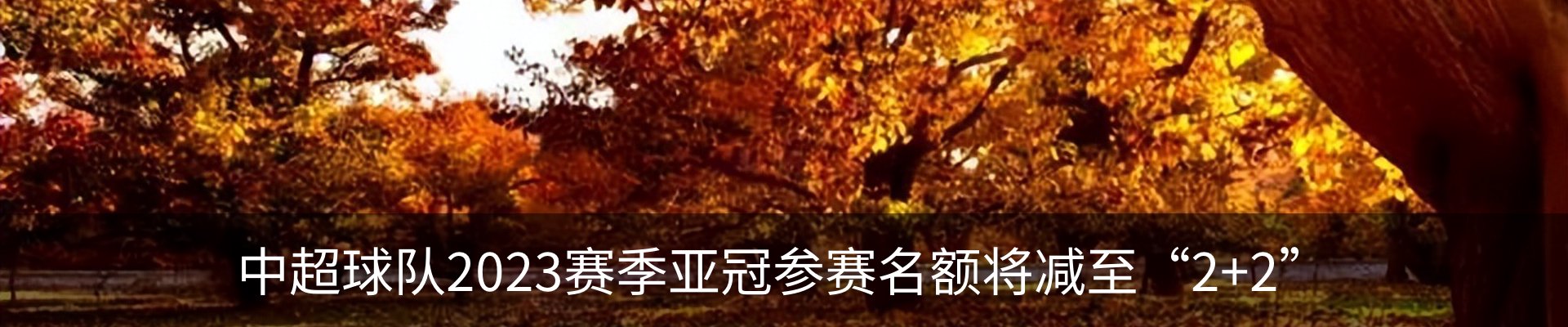 最新动态