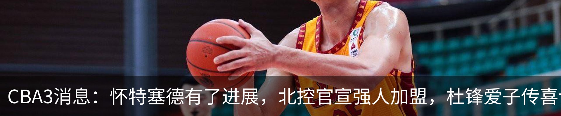最新动态